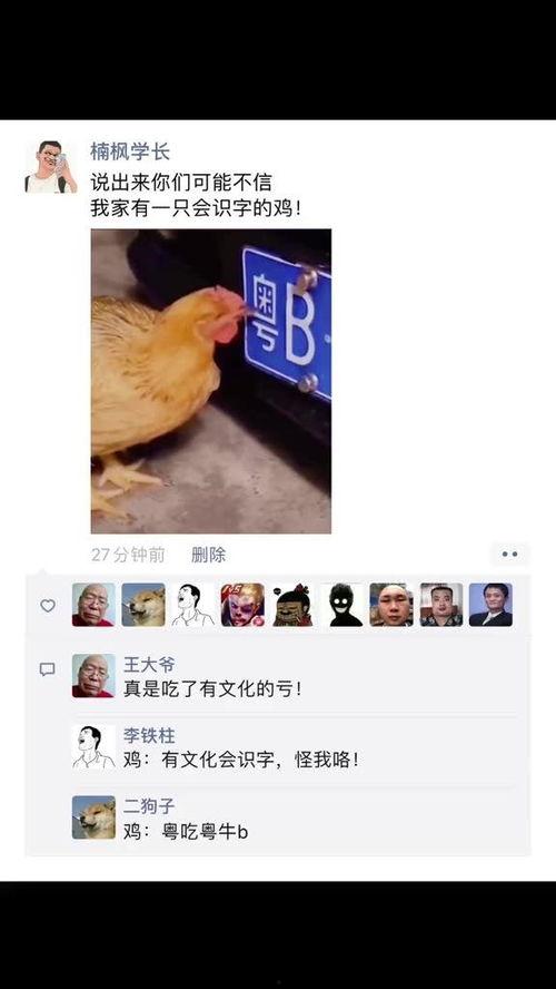 搞笑爆料神评视频大全集,笑点满满，回味无穷  第1张